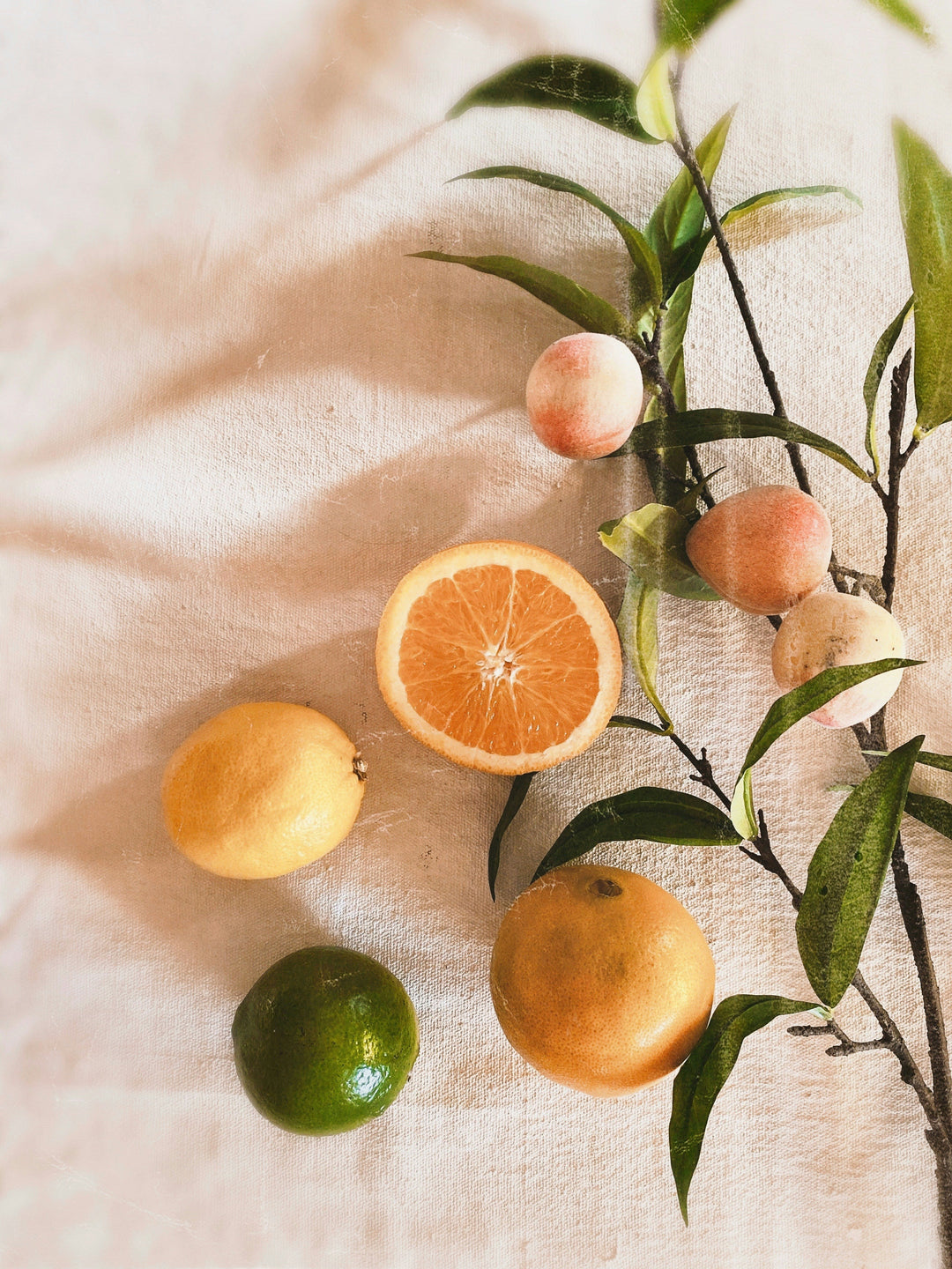 Citrus | Fruity Fragrances