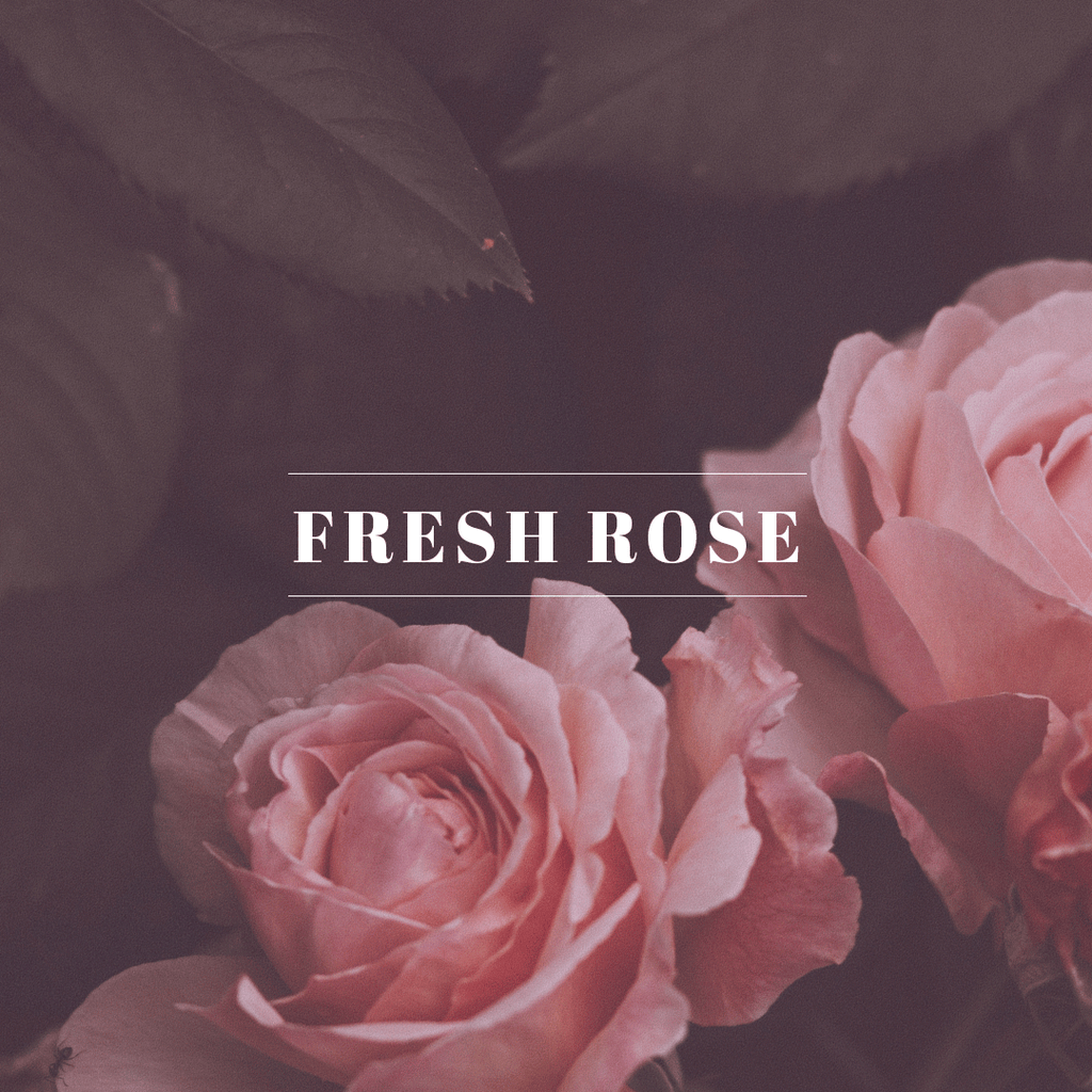 Fresh Rose – Orleans Home Fragrances