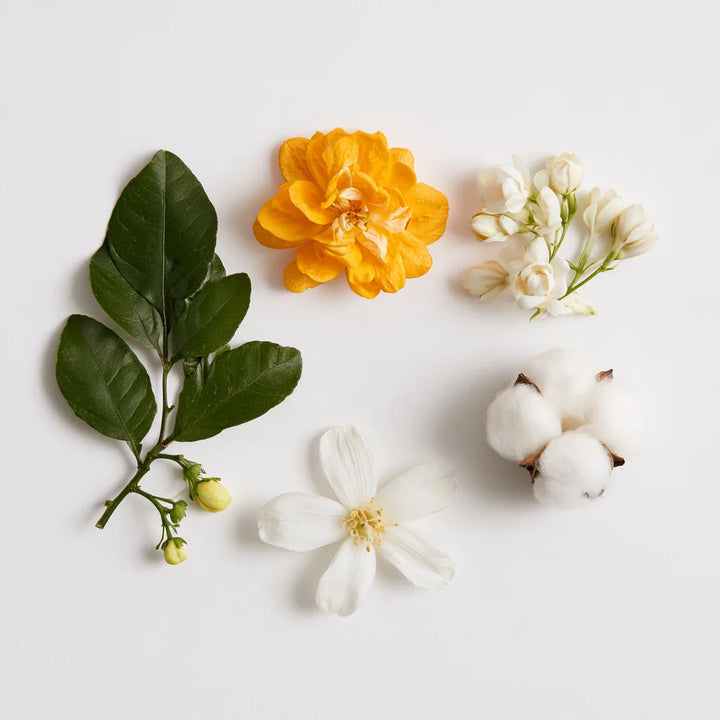 Fine Linens