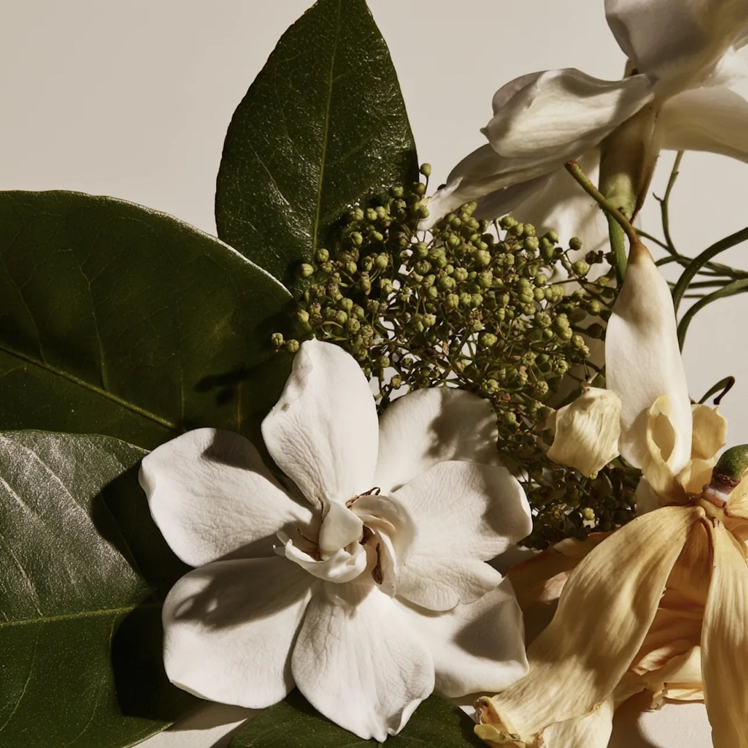 Gardenia