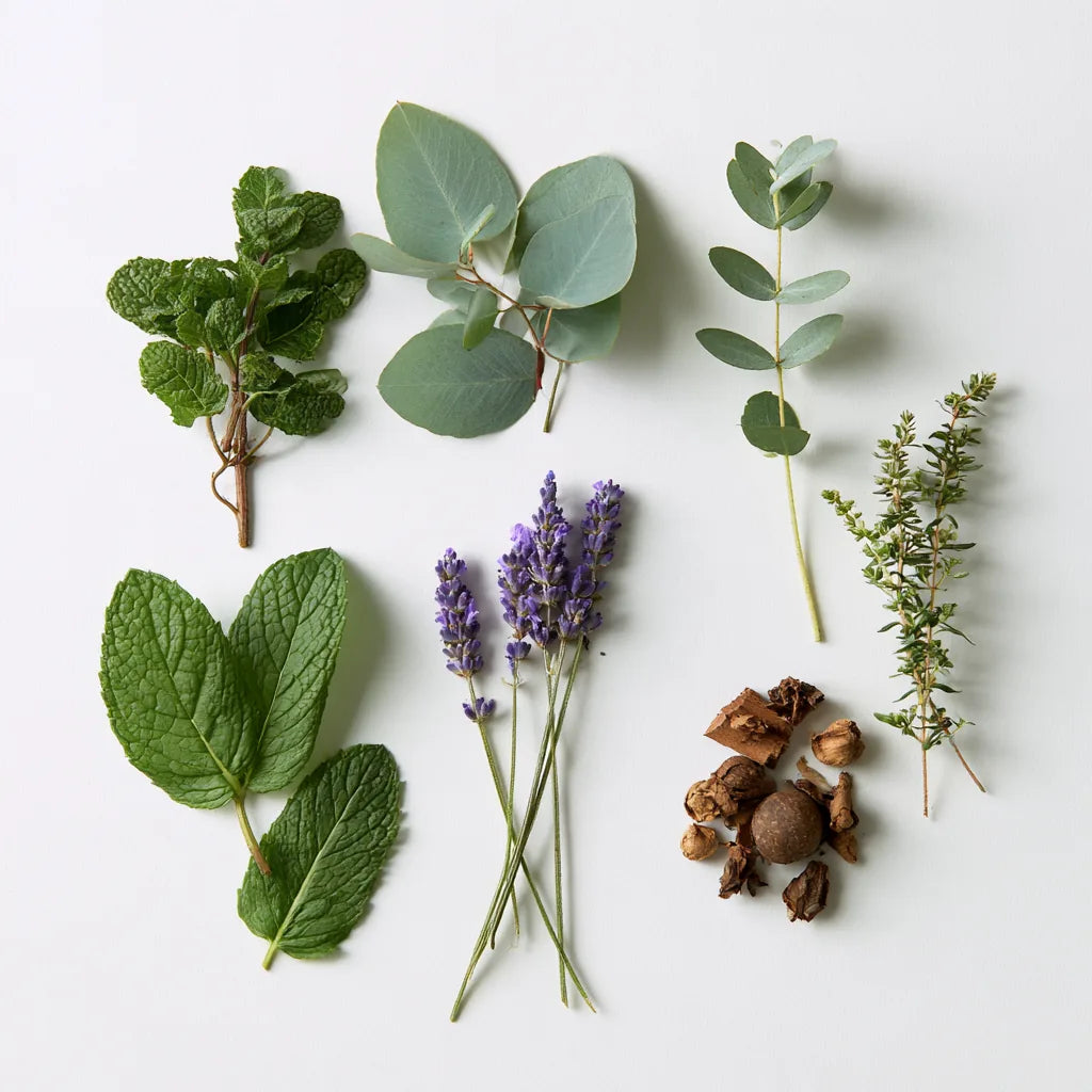 Mint Leaf & Lavender