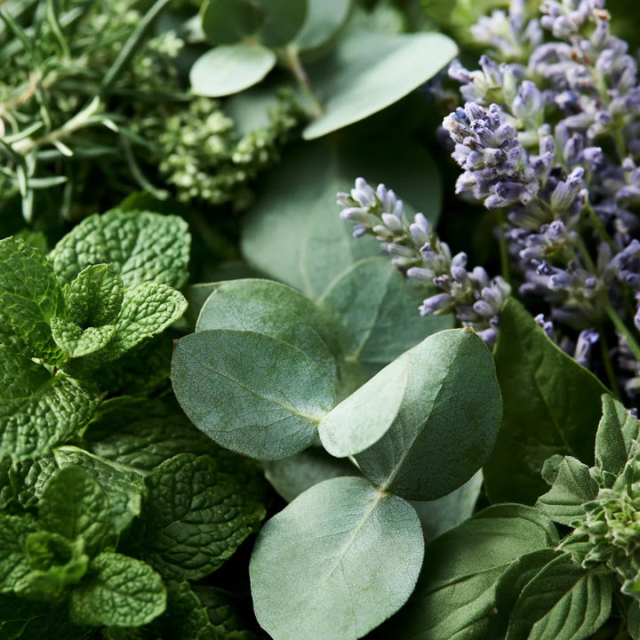 Mint Leaf & Lavender