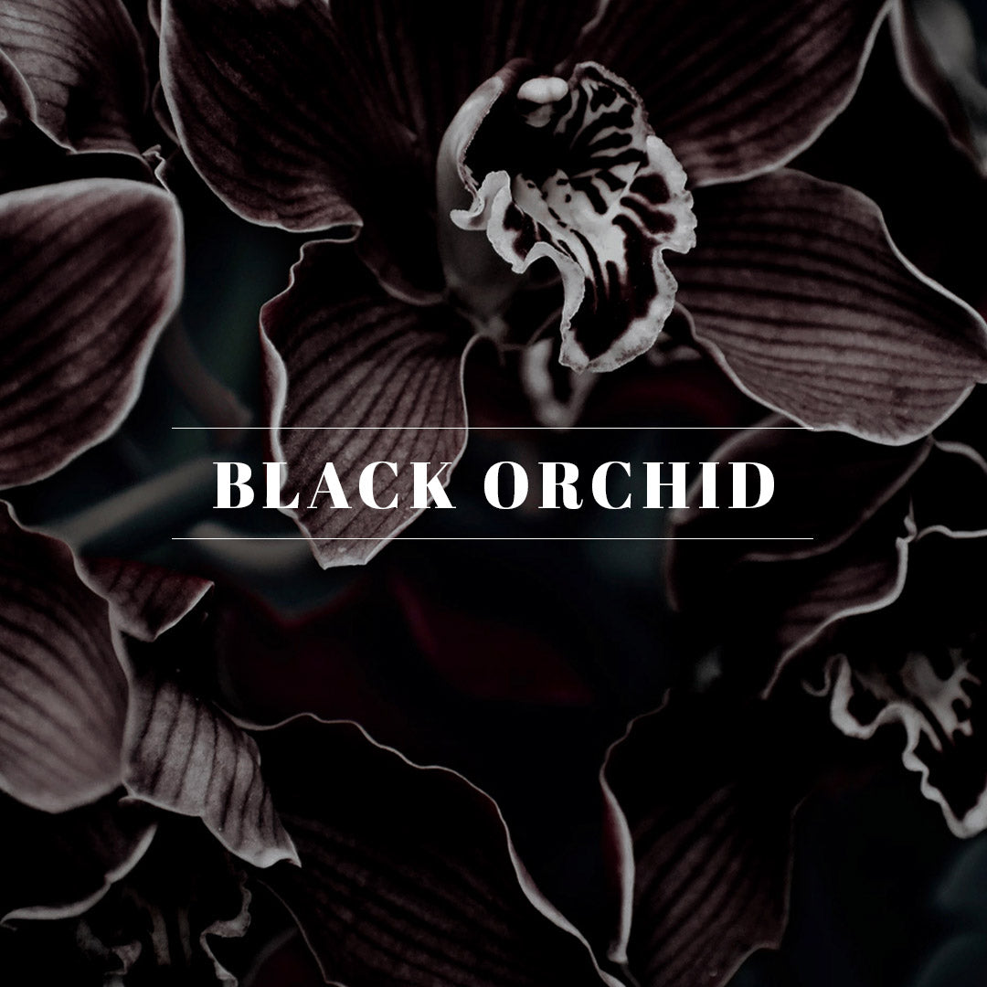 Black Orchid