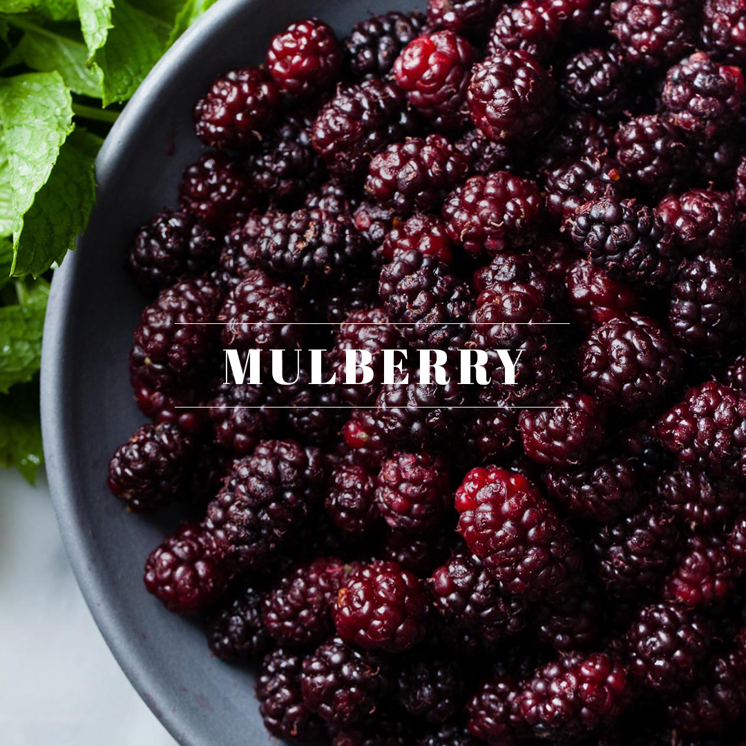 Mulberry