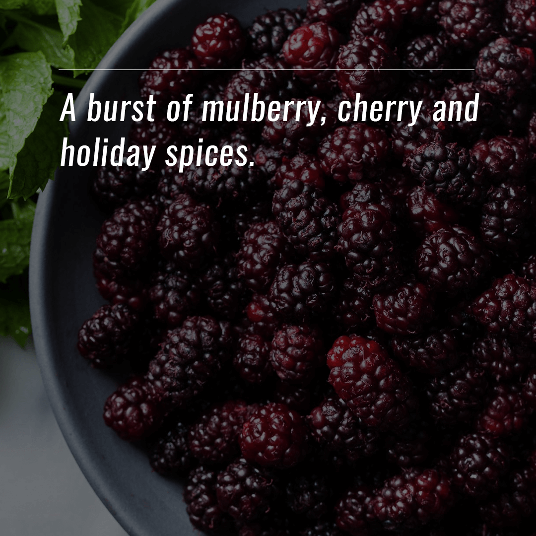 Mulberry