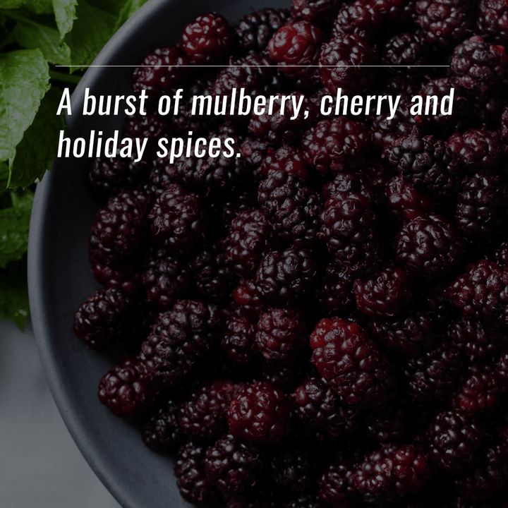 Mulberry