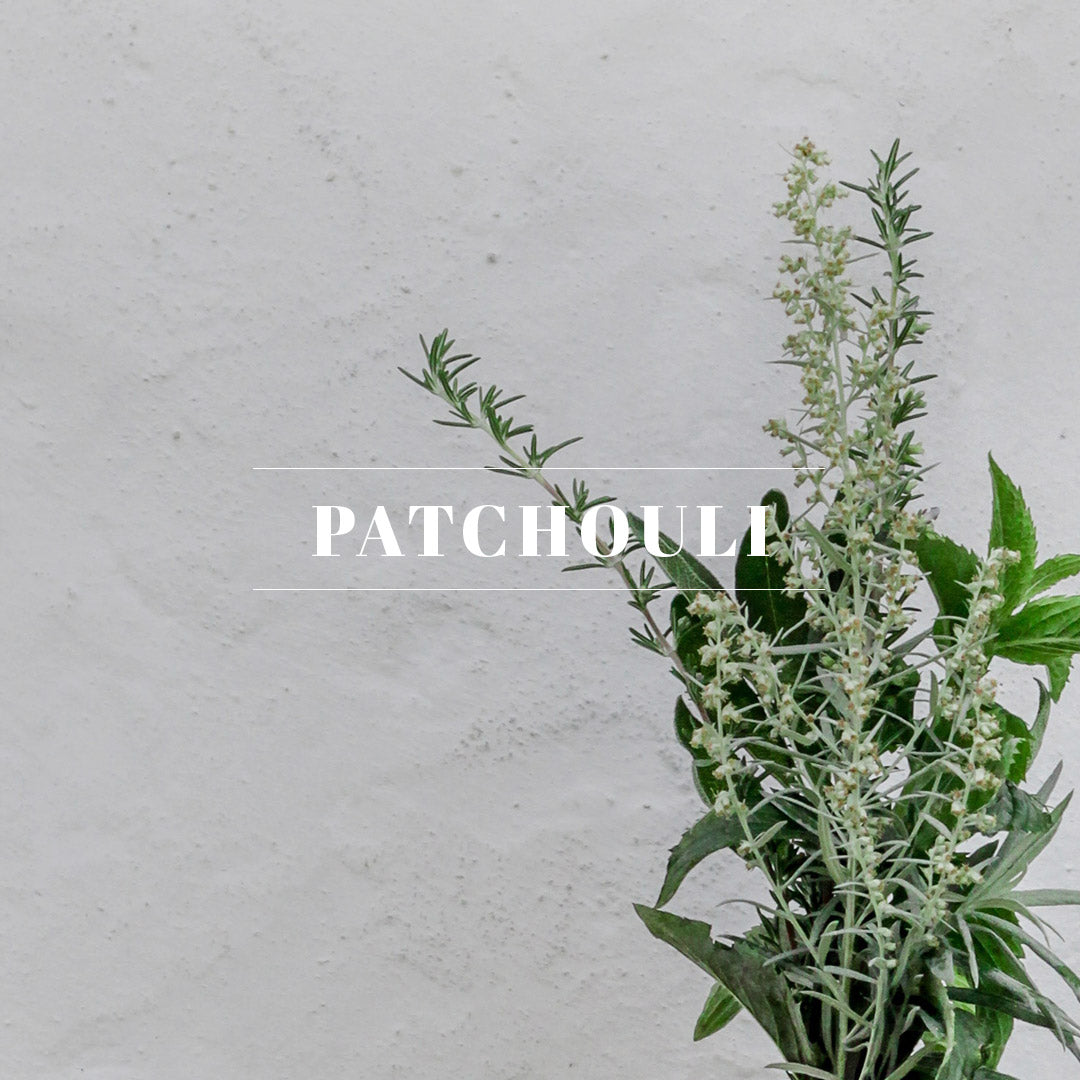 Patchouli