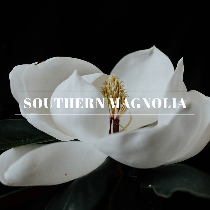 Southern Magnolia