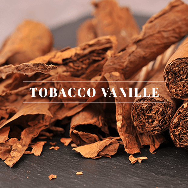 Tobacco Vanille